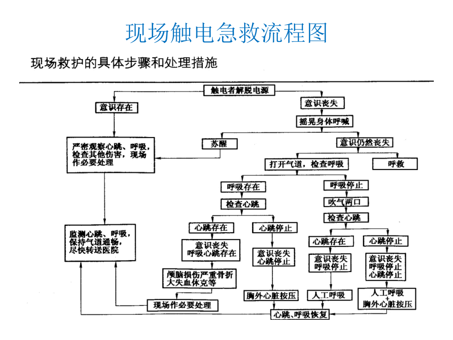 现场触电急救知识解析.ppt_第2页