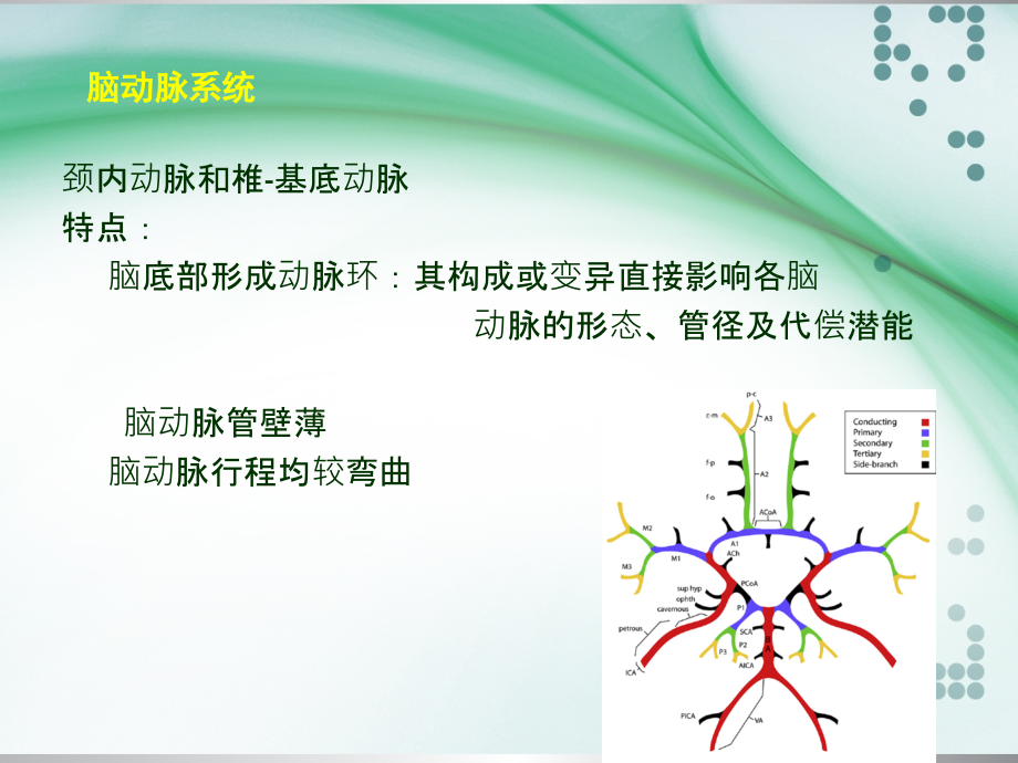 脑动脉的正常变异ppt课件.ppt_第3页