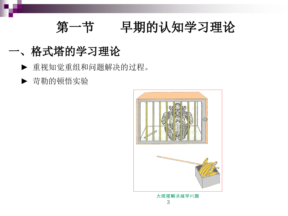 六认知学习理论概要.ppt_第3页