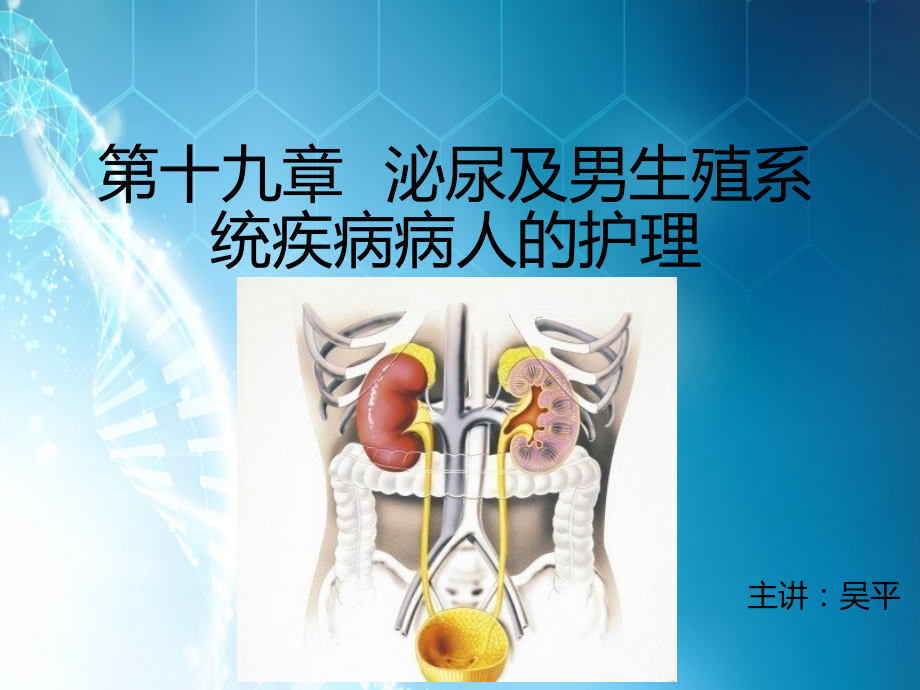 良性前列腺增生、泌尿系肿瘤.ppt_第1页