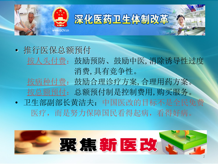 中药注射剂合理使用及注意事项ppt.ppt_第2页