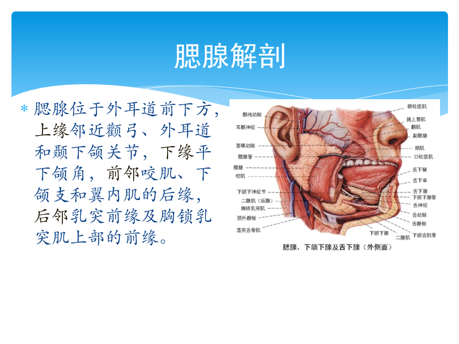 腮腺混合瘤影像诊断2015.12.28.ppt_第2页