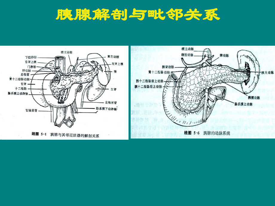 胰腺肿瘤影像.ppt_第3页