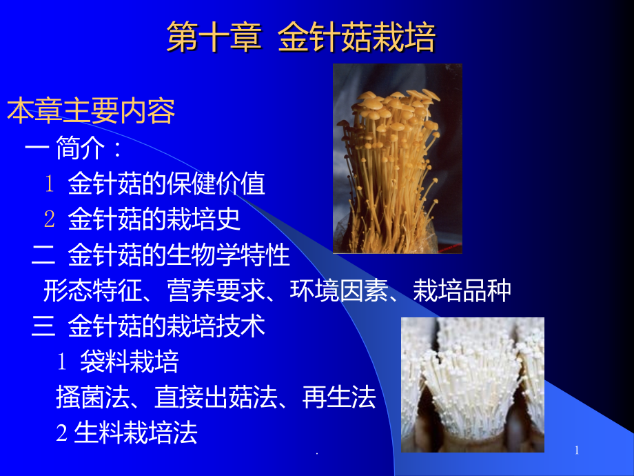 十-金针菇栽培.ppt_第1页