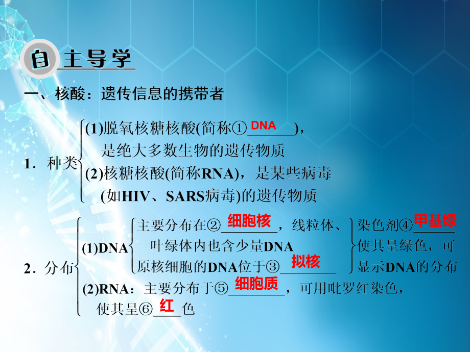 遗传信息的携带者核酸细胞中的糖类和脂质.ppt_第3页