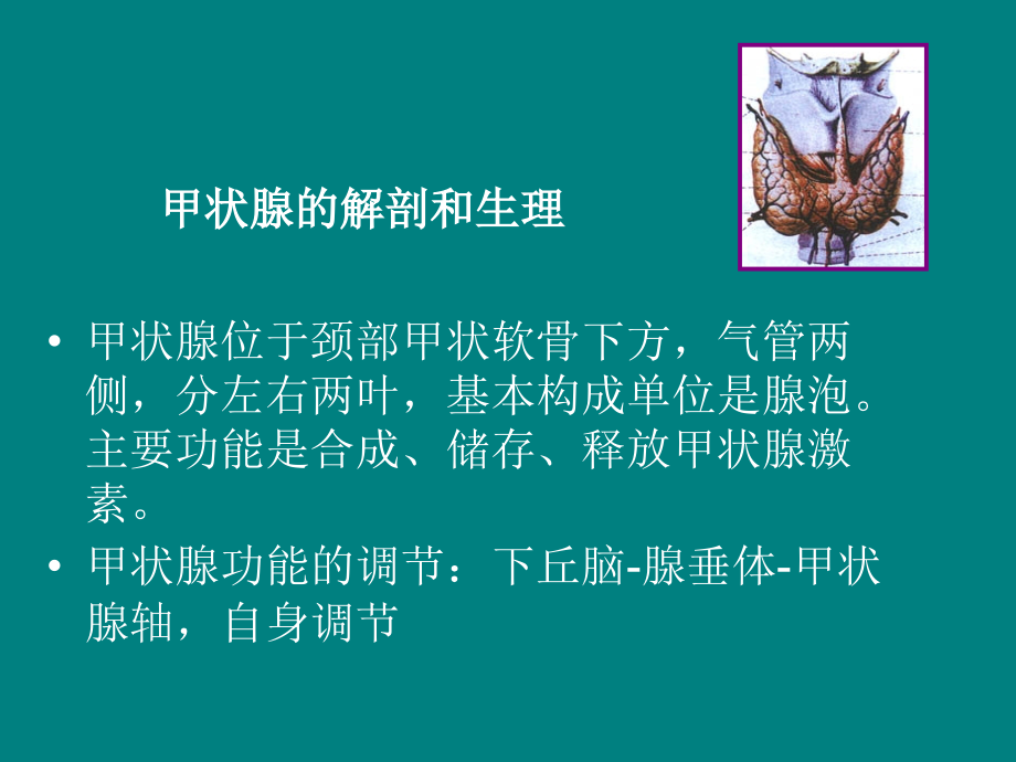 内分泌系统.ppt_第3页