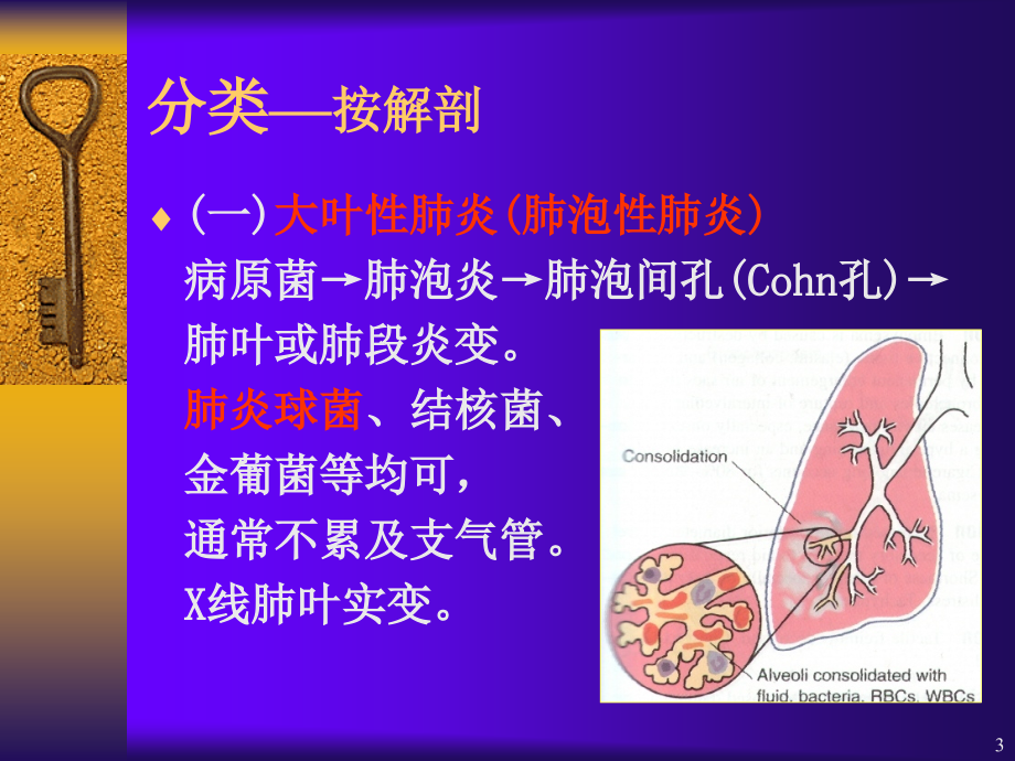 内科学教学课件：6肺炎.ppt_第3页