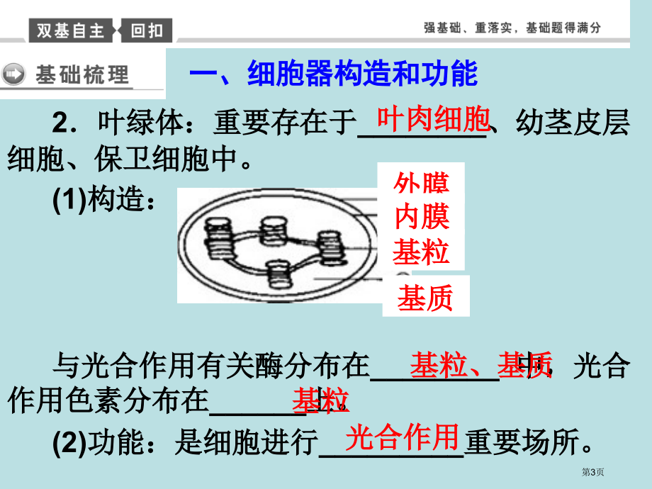 一轮复习细胞器和生物膜系统公开课获奖课件.pptx_第3页