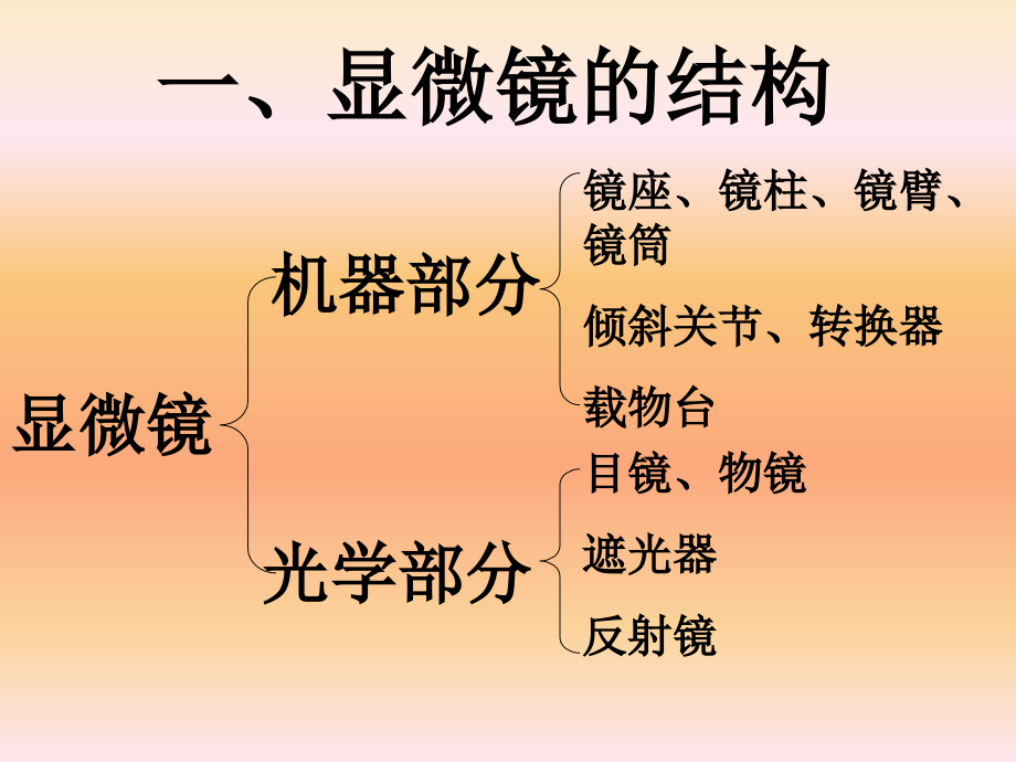 显微镜的结构和使用1课件.ppt_第2页