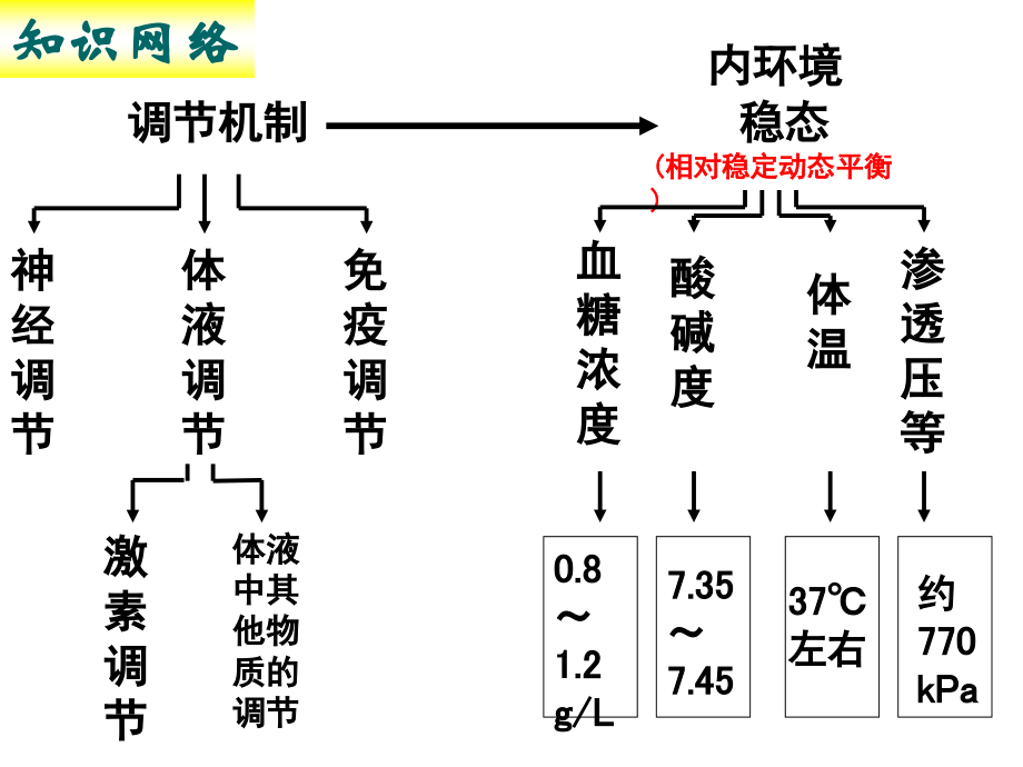 复习---动物和人体生命活动的调节二三节.ppt_第2页