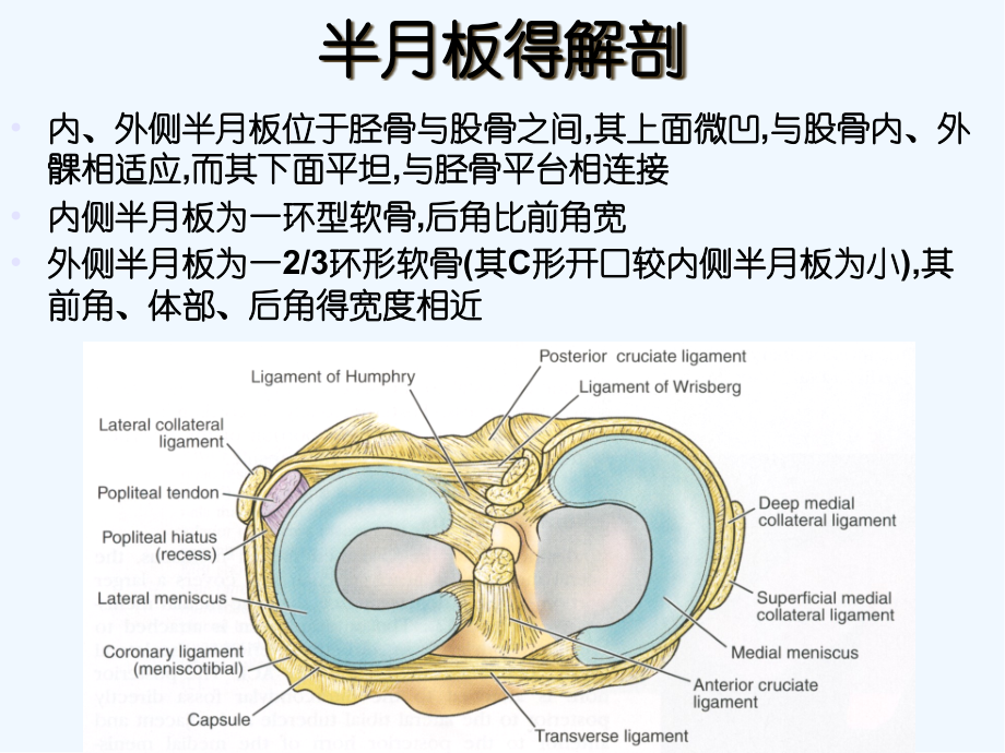 半月板损伤标准.pptx_第2页