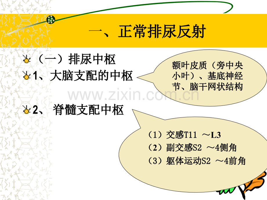 排尿障碍的评定.ppt_第3页