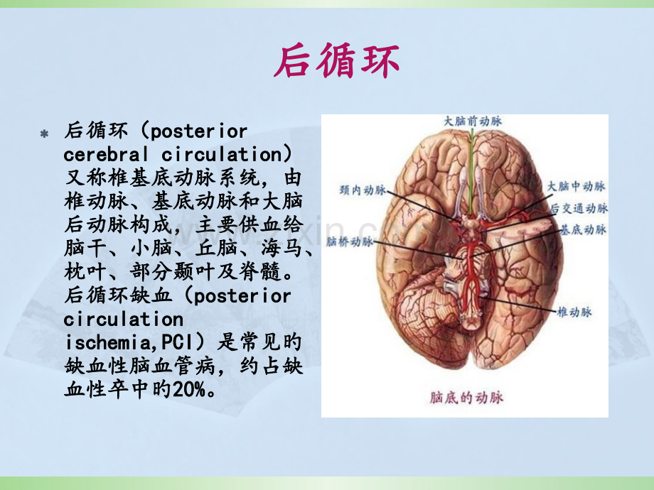 后循环缺血汇总.pptx_第2页