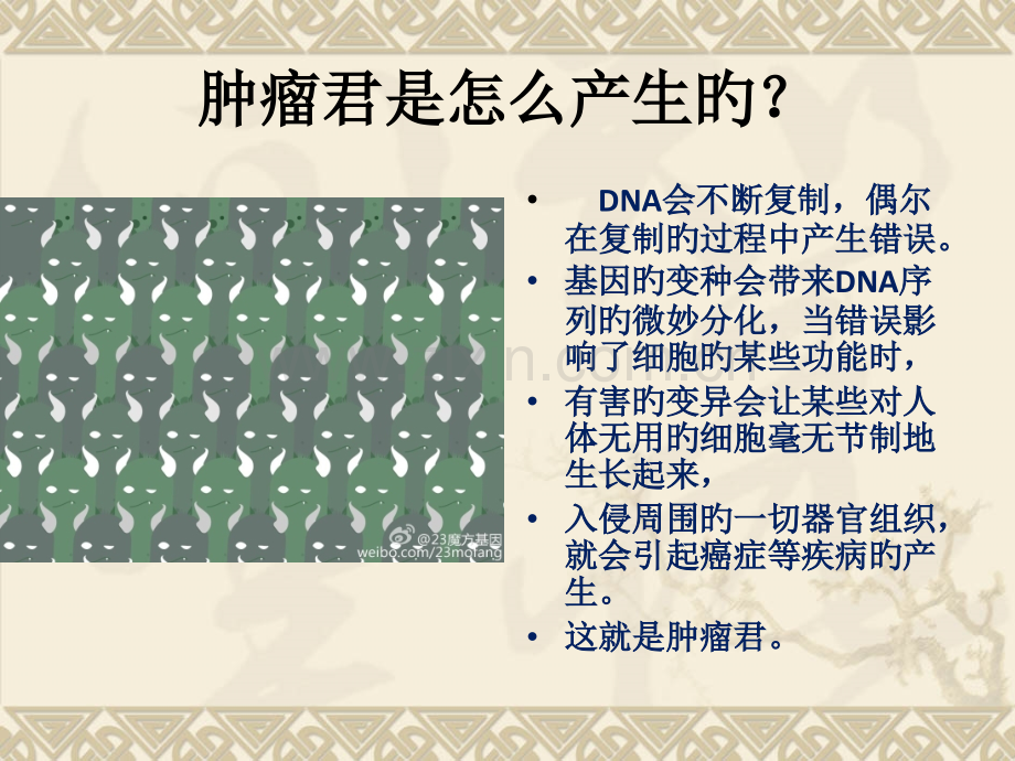 肿瘤科普专题讲座.pptx_第3页