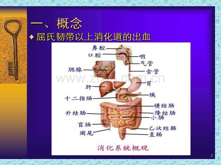 上消化道出血的急救和医疗护理讲义.ppt_第3页