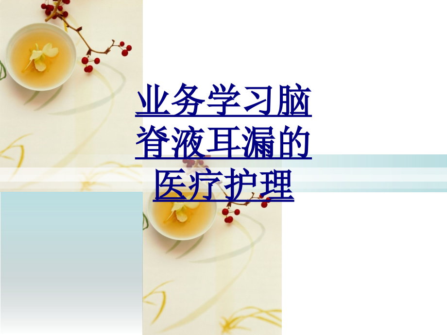 业务学习脑脊液耳漏的医疗护理PPT优质课件.ppt_第1页