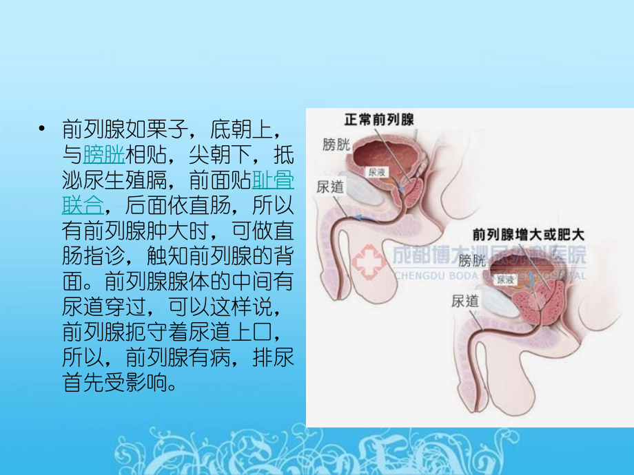 前列腺电切手术前后的注意事项.ppt_第2页