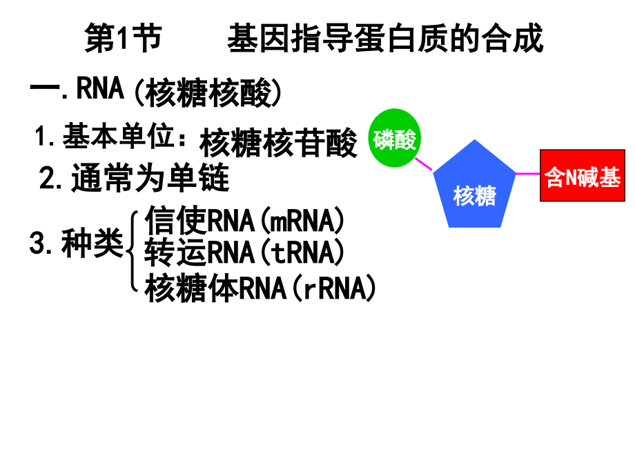 第四章第1节基因指导蛋白质的合成.ppt_第3页