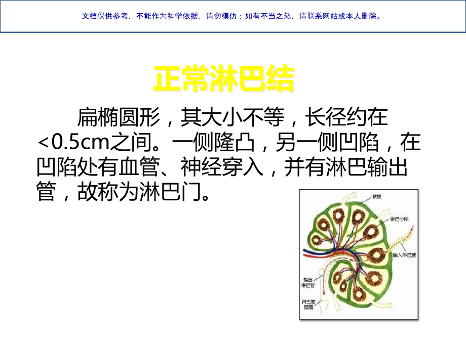 淋巴结超声教学课件.pptx_第1页