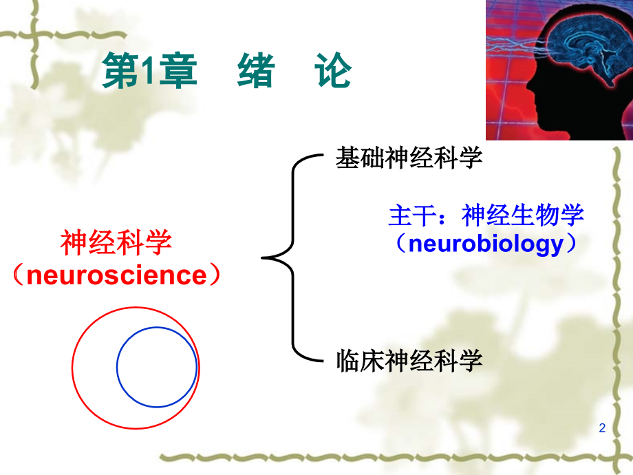 神经生物学概论.ppt_第2页