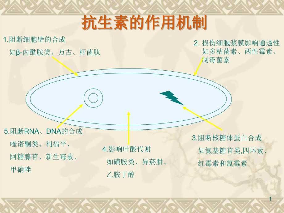 抗生素分类及合理应用2-1.ppt_第1页