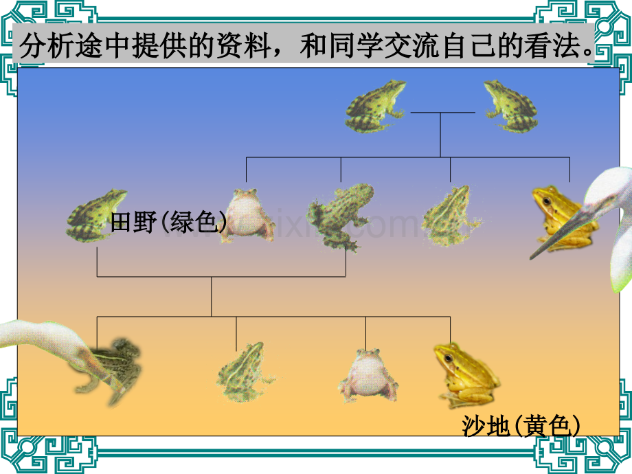 科学PPT课件4.7《谁选择了它们》PPT.ppt_第3页