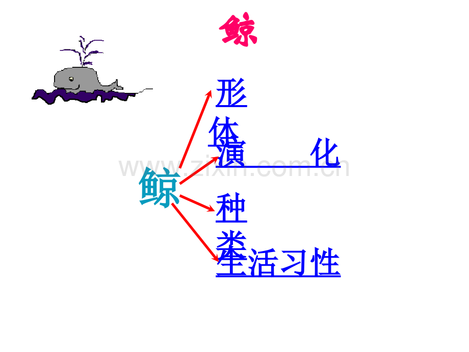 【人教版】五年级语文上册-9.鲸课件-新人教版.ppt_第2页