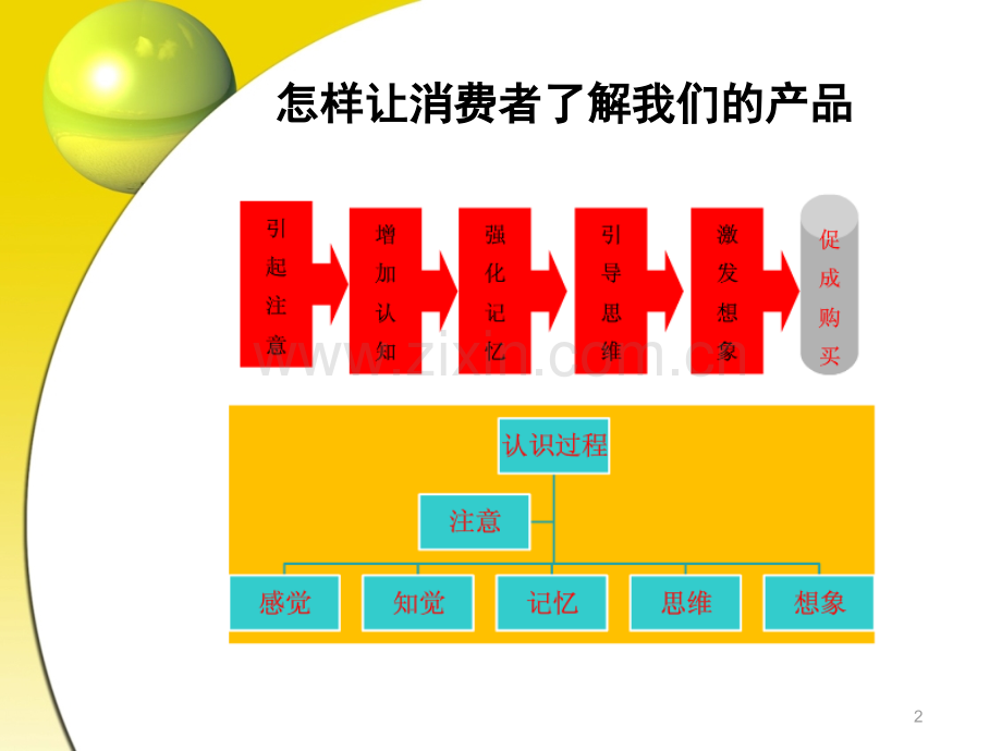 药品营销心理学第二章1.ppt_第2页