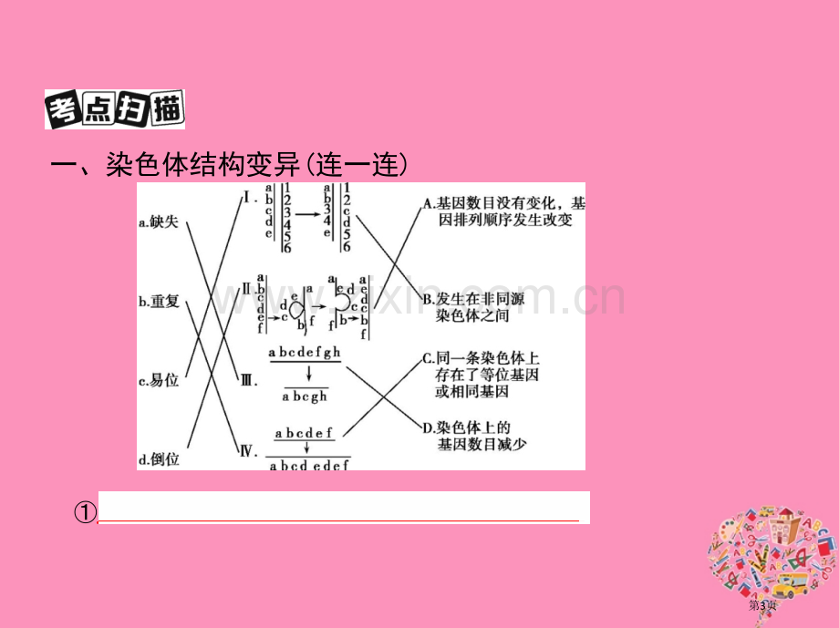 高考生物复习第19讲染色体变异与育种全国公开课一等奖百校联赛示范课赛课特等奖课件.pptx_第3页