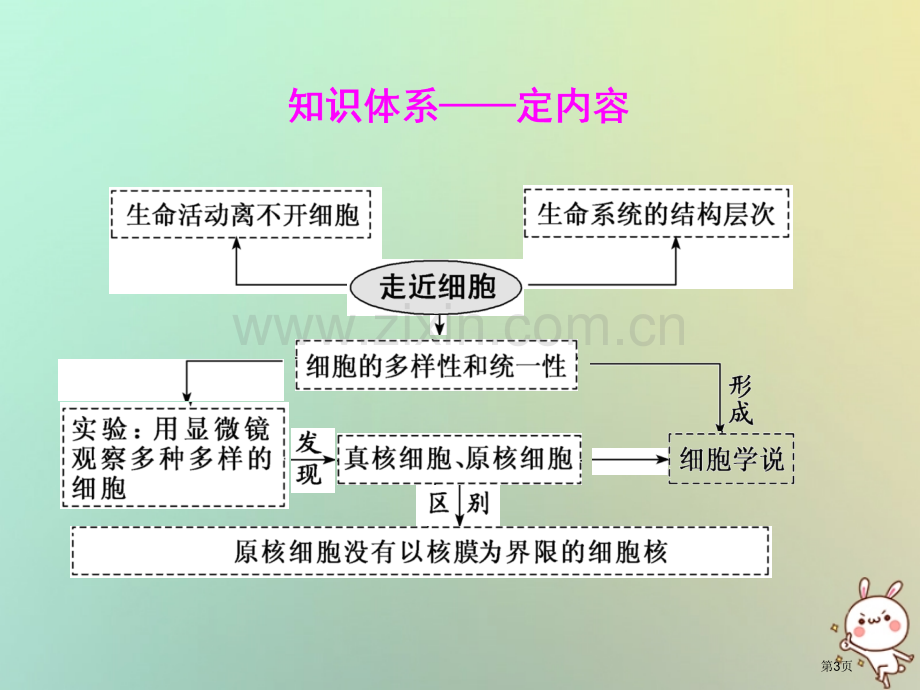 高考生物复习第一单元细胞及其分子组成第一讲走近细胞全国公开课一等奖百校联赛示范课赛课特等奖.pptx_第3页