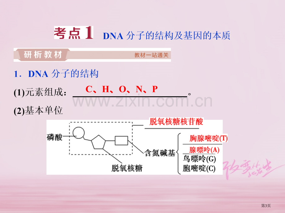 高考生物复习第六单元遗传的物质基础第20讲DNA分子的结构DNA的复制基因是有遗传效应的DNA片段全.pptx_第3页