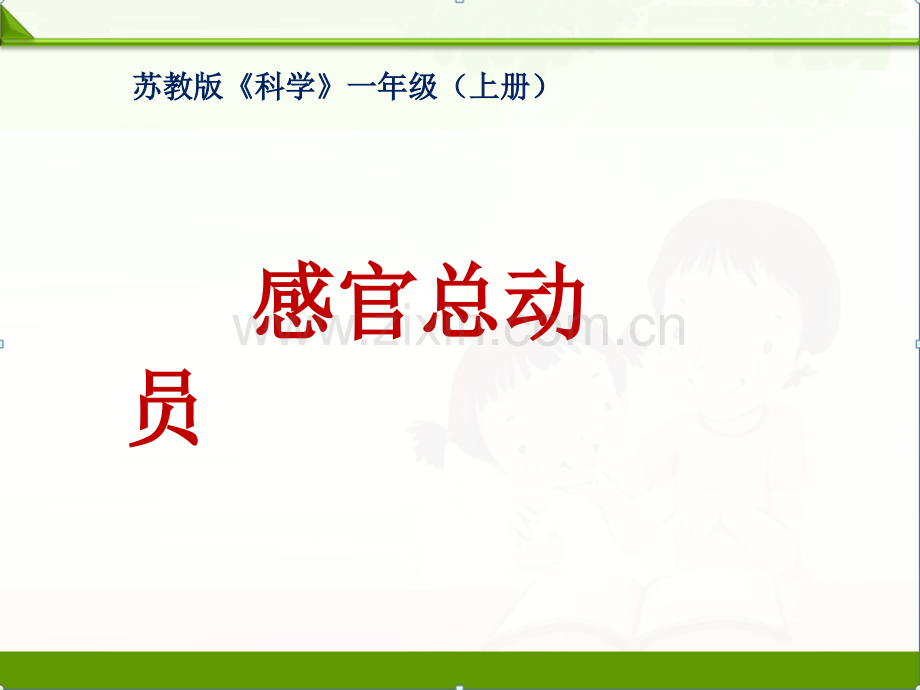 苏教版科学一年级上册课件：5-感官总动员-课件-新教材(1).ppt_第1页