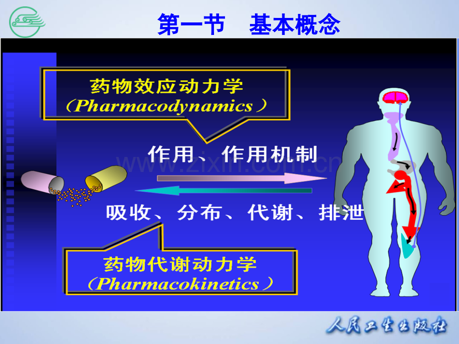 第一章-药理学总论-序言.ppt_第3页