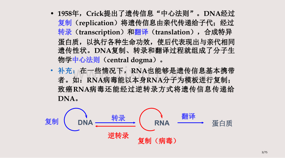 DNA的生物合成复制市公开课一等奖省赛课微课金奖课件.pptx_第3页