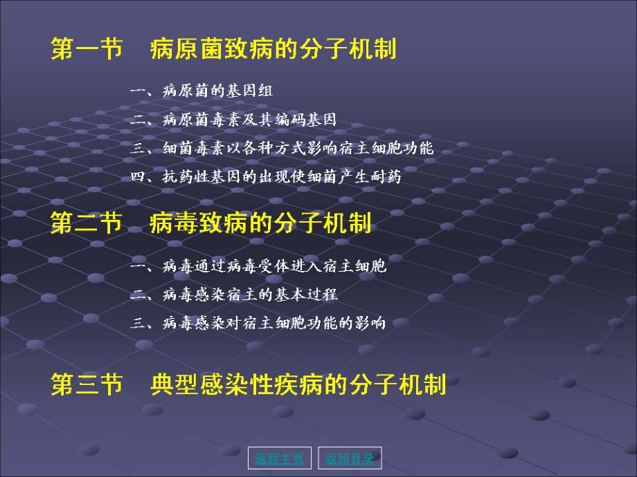 医学分子生物学-第12章-感染性疾病的分子机制.ppt_第1页