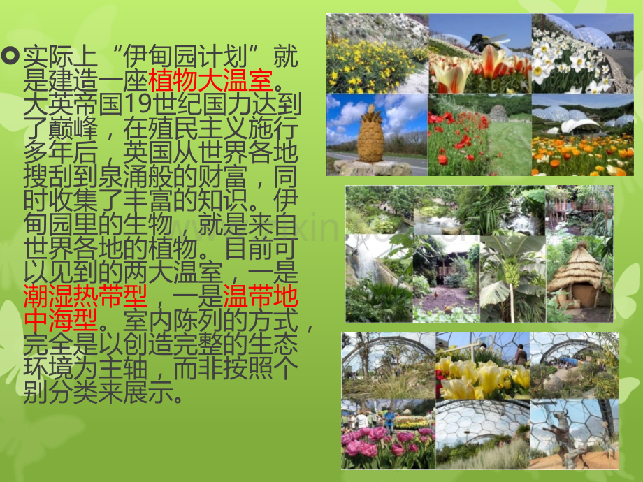 伊甸园幻灯片.ppt_第3页