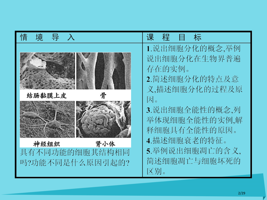 高中生物第五章细胞增殖分化衰老和凋亡5.2细胞分化衰老和凋亡省公开课一等奖新名师优质课获奖PPT课件.pptx_第2页