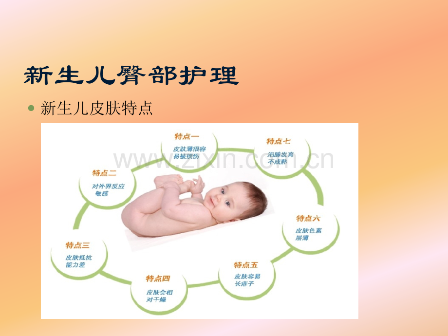 新生儿臀部护理刘嫦娥.ppt_第2页