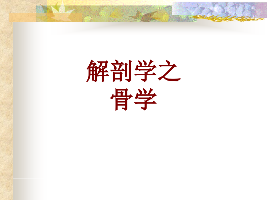 医学解剖学之骨学.ppt_第1页