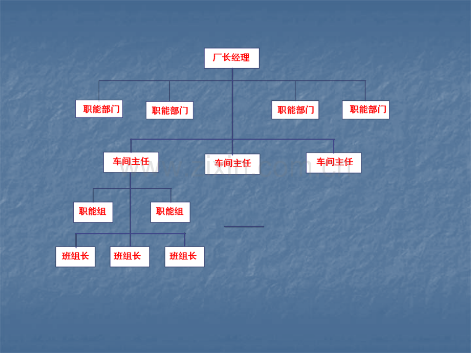 第三章--组织-41页PPT资料.ppt_第3页