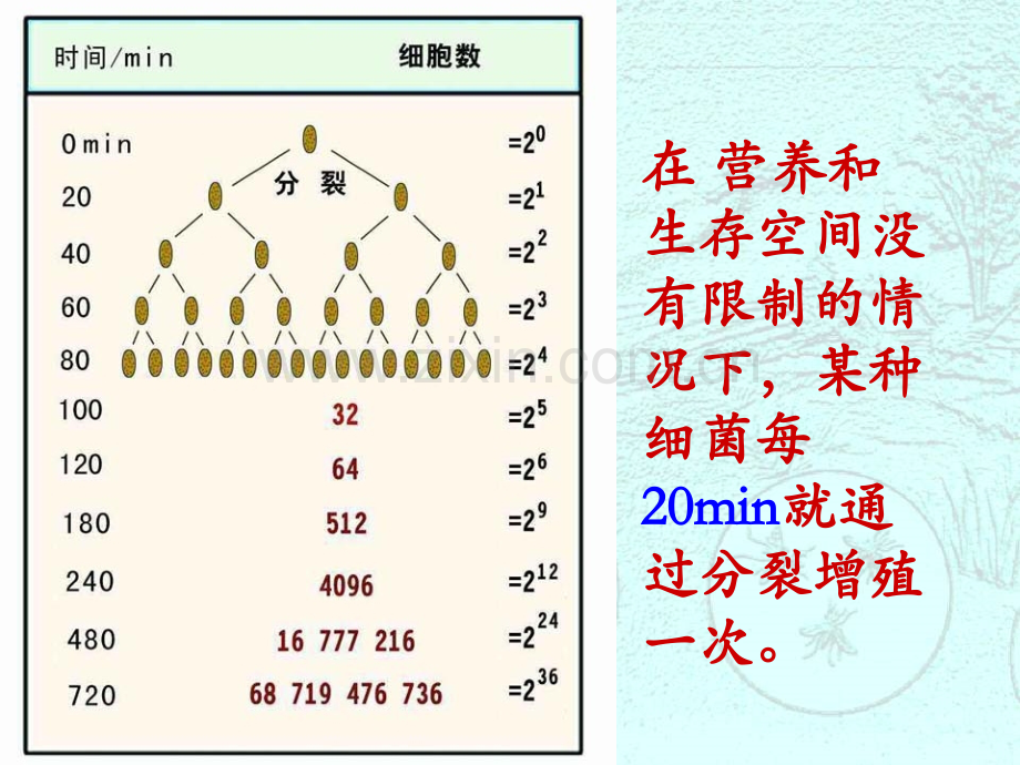 种群数量的变化(新课程教学比武课件).ppt_第2页