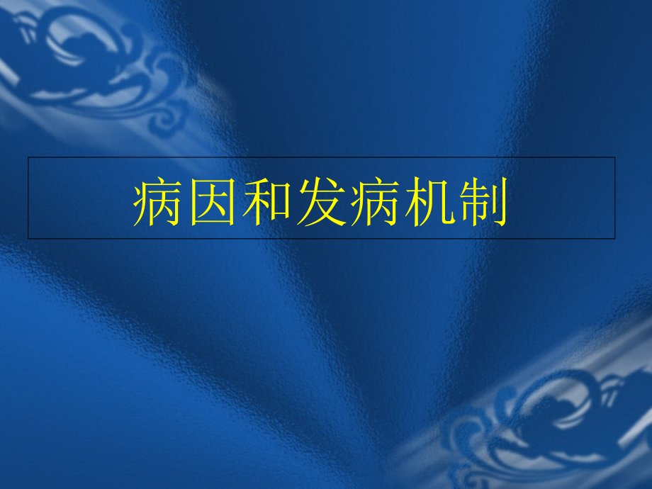 医学肺癌医学知识宣讲材料.ppt_第3页