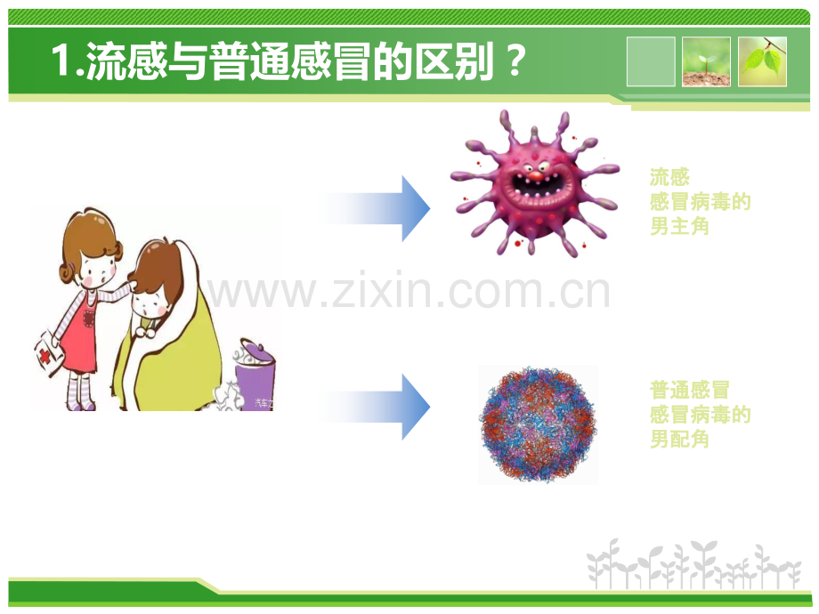 流感的合理用药主题讲座课件.ppt_第1页