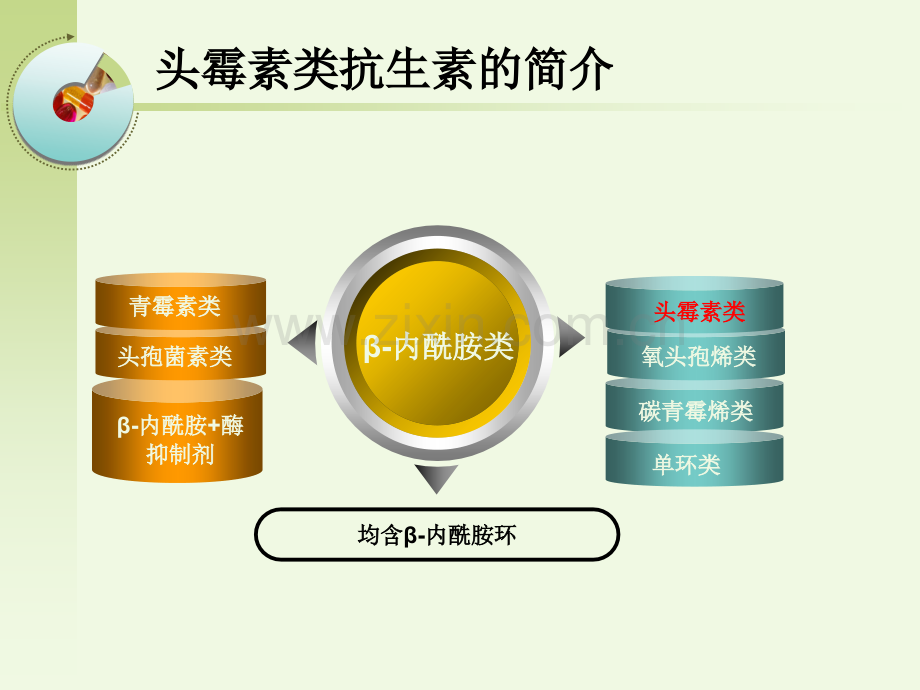 医学课件头霉素类抗生素.ppt_第3页