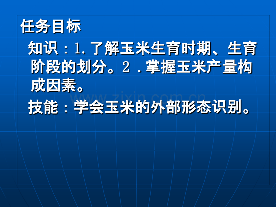 认识玉米的生长发育专题培训课件.ppt_第1页