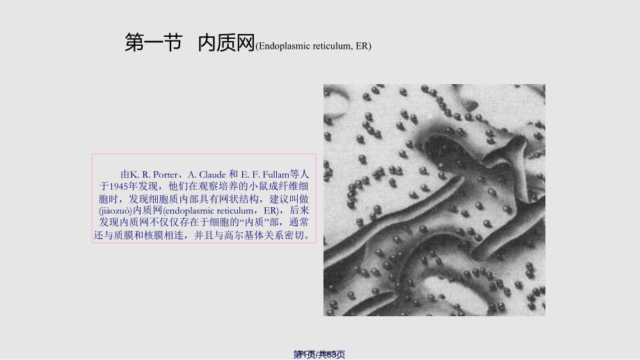 计算机软件及应用内膜系统学习教案.pptx_第2页