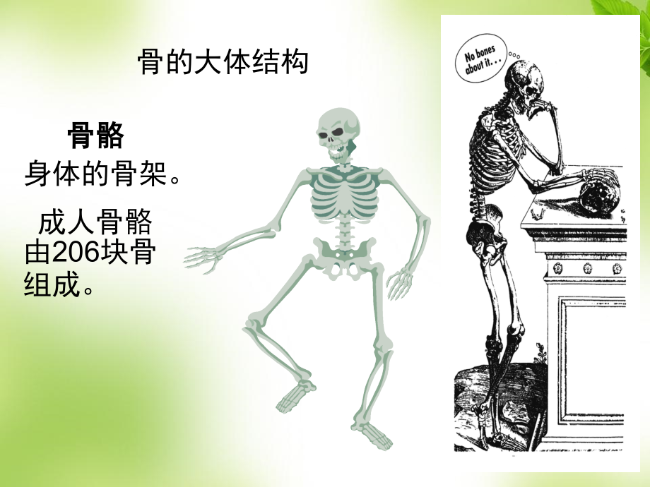 骨质疏松的科普.ppt_第2页