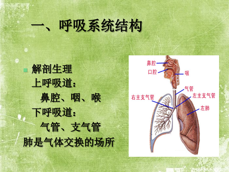 肺炎的分类诊断治疗.ppt_第3页