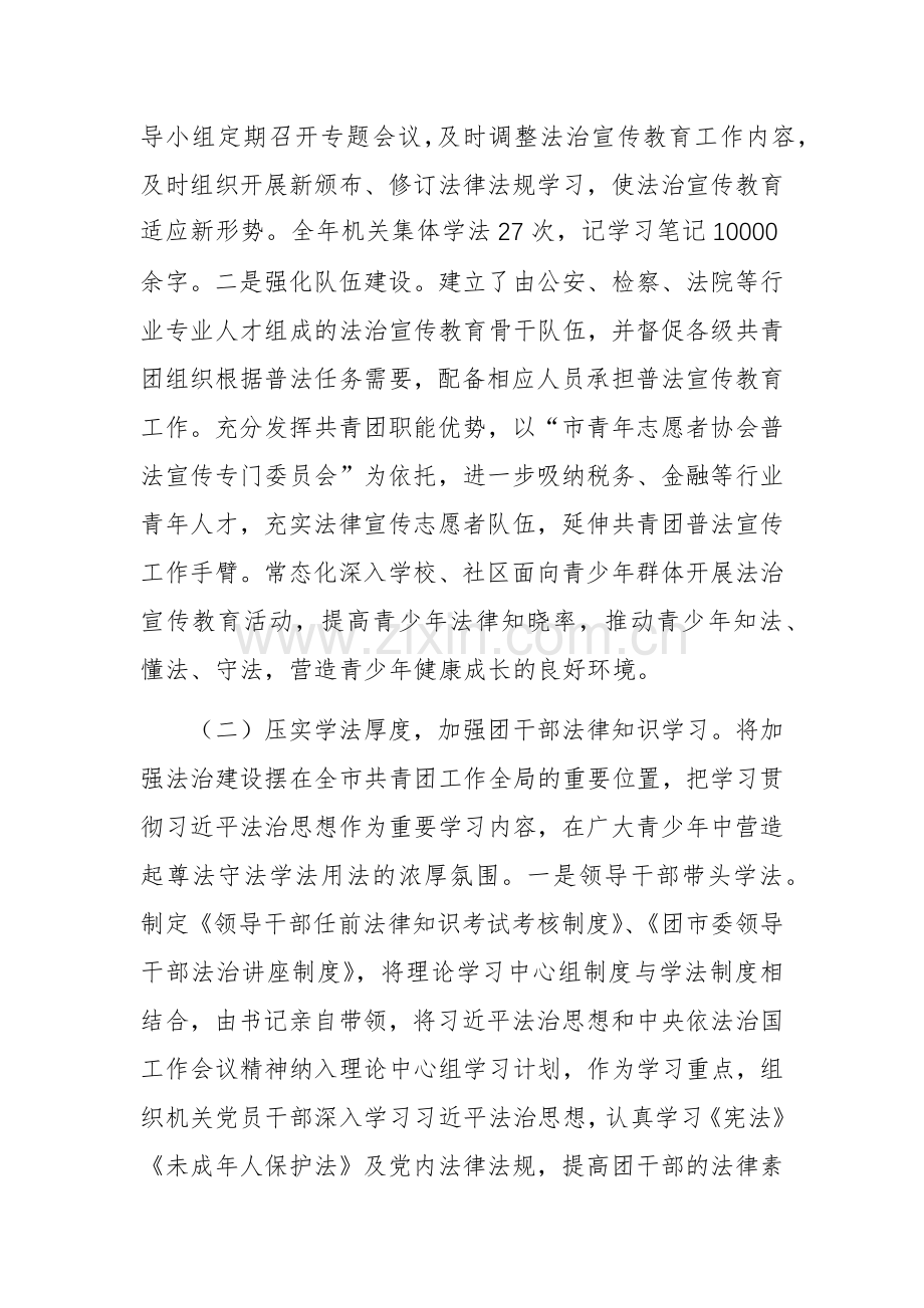 团市委书记2024年述法工作报告范文.docx_第2页