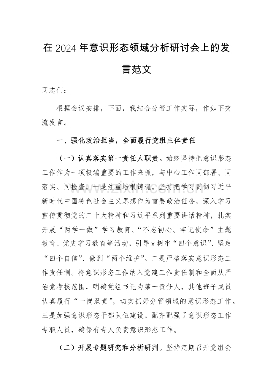 在2024年意识形态领域分析研讨会上的发言范文.docx_第1页